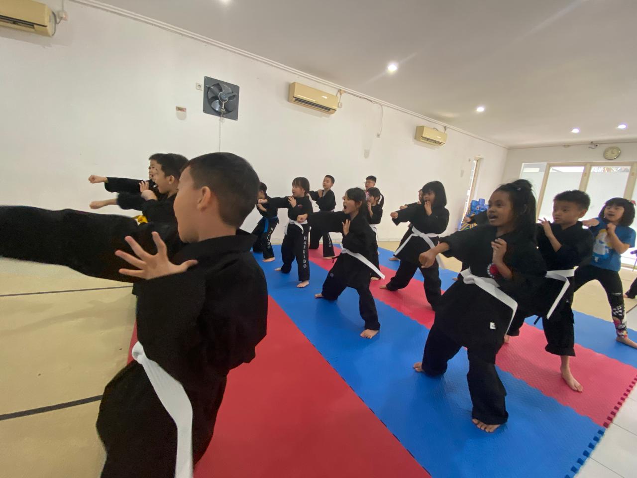 Hapkido